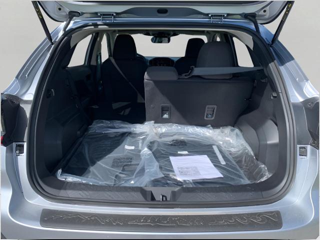 2025 Subaru Crosstrek Vehicle Photo in Oshkosh, WI 54904