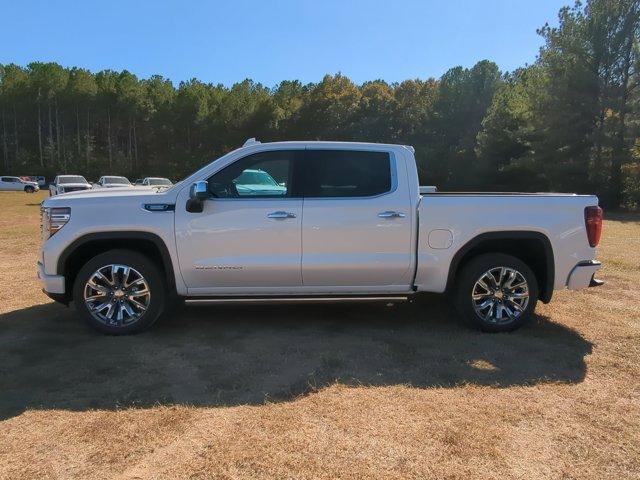 2025 GMC Sierra 1500 Vehicle Photo in ALBERTVILLE, AL 35950-0246