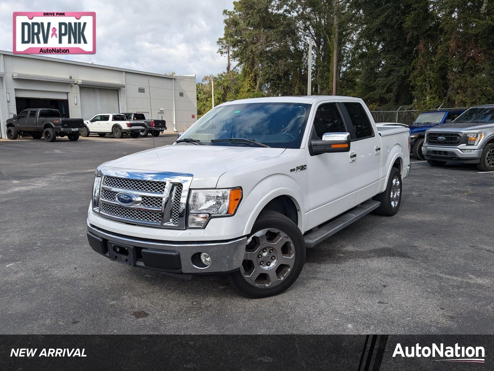 2010 Ford F-150 Vehicle Photo in Panama City, FL 32401