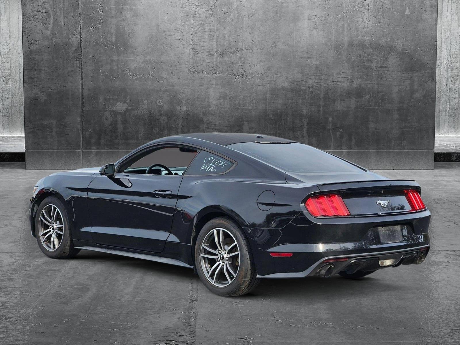 2017 Ford Mustang Vehicle Photo in Clearwater, FL 33764