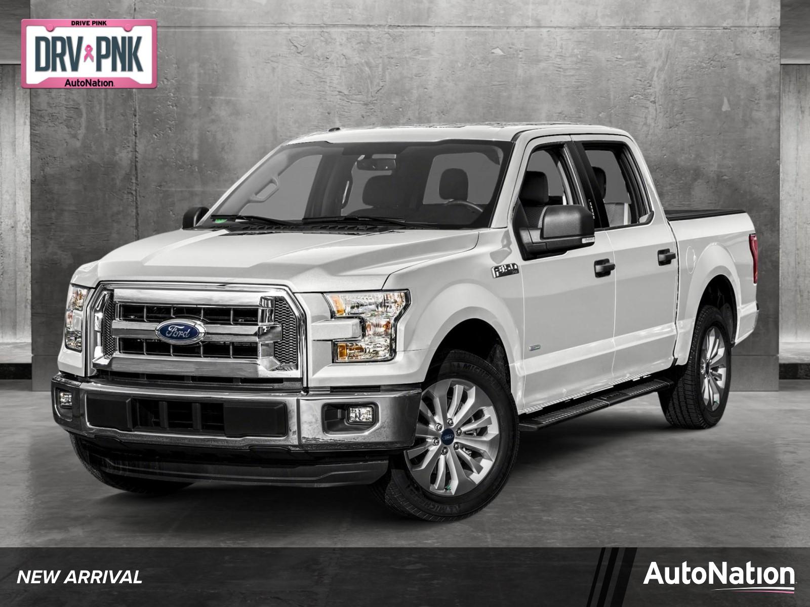 2017 Ford F-150 Vehicle Photo in St. Petersburg, FL 33713