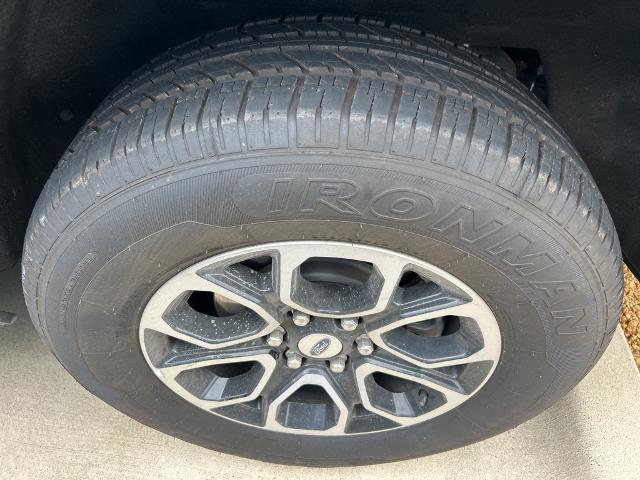 2023 Ford Expedition Vehicle Photo in Grapevine, TX 76051