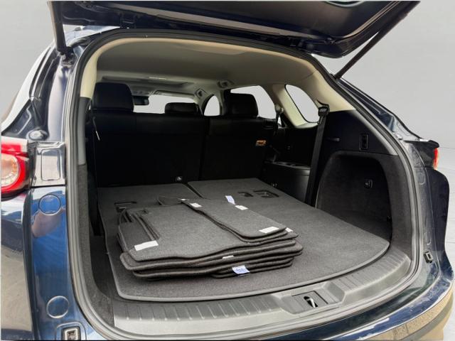2021 Mazda CX-9 Vehicle Photo in Appleton, WI 54914