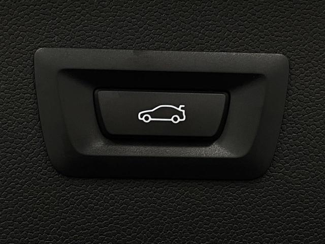 2025 BMW iX Vehicle Photo in Appleton, WI 54913