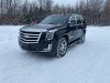 Used 2016 Cadillac Escalade Luxury with VIN 1GYS4BKJ4GR112458 for sale in International Falls, Minnesota