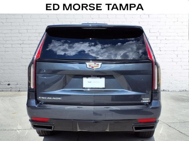 2021 Cadillac Escalade Vehicle Photo in TAMPA, FL 33612-3404
