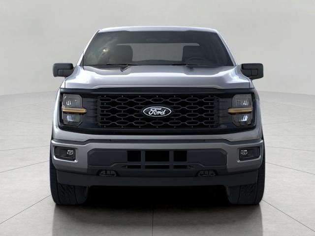 2025 Ford F-150 Vehicle Photo in Neenah, WI 54956