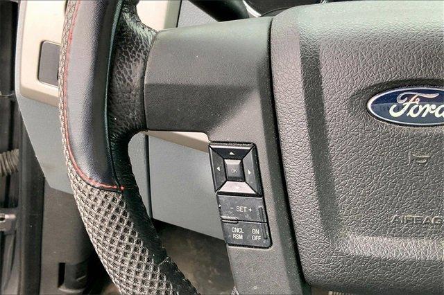2014 Ford F-150 Vehicle Photo in INDEPENDENCE, MO 64055-1377