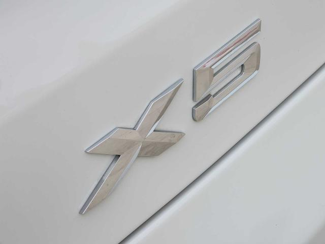 2023 BMW X5 xDrive40i Vehicle Photo in PLANO, TX 75024