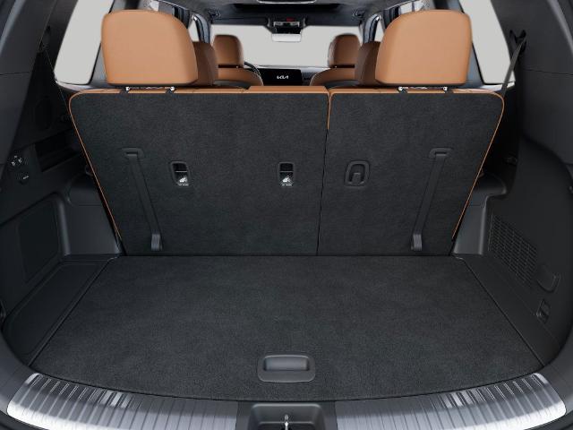 2025 Kia Telluride Vehicle Photo in Oshkosh, WI 54904