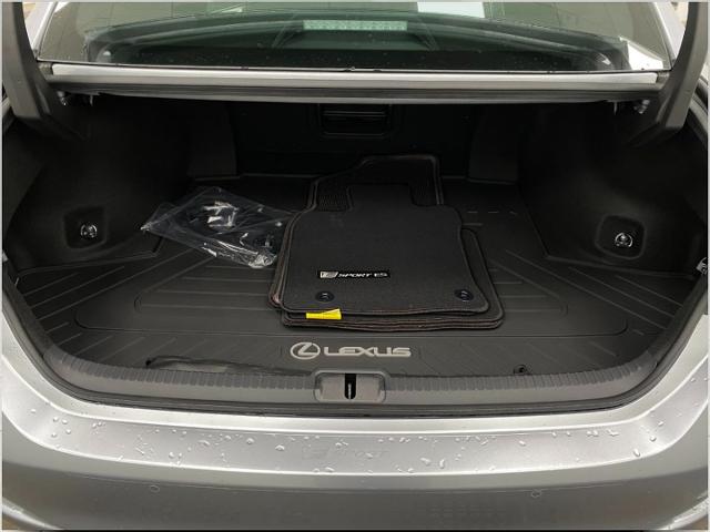 2025 Lexus ES 350 Vehicle Photo in Appleton, WI 54913