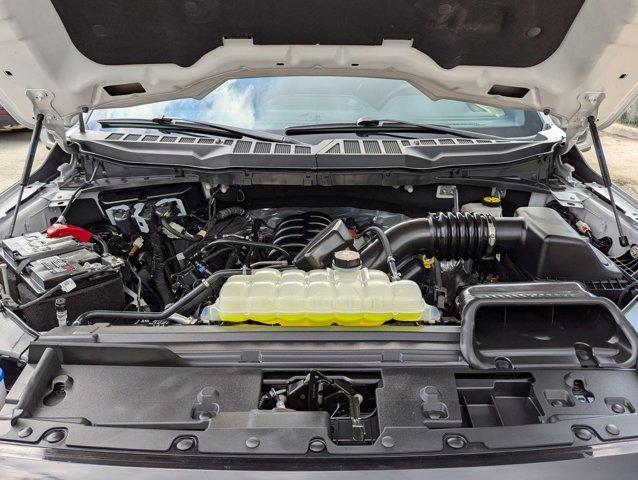 2024 Ford F-150 Vehicle Photo in San Antonio, TX 78230