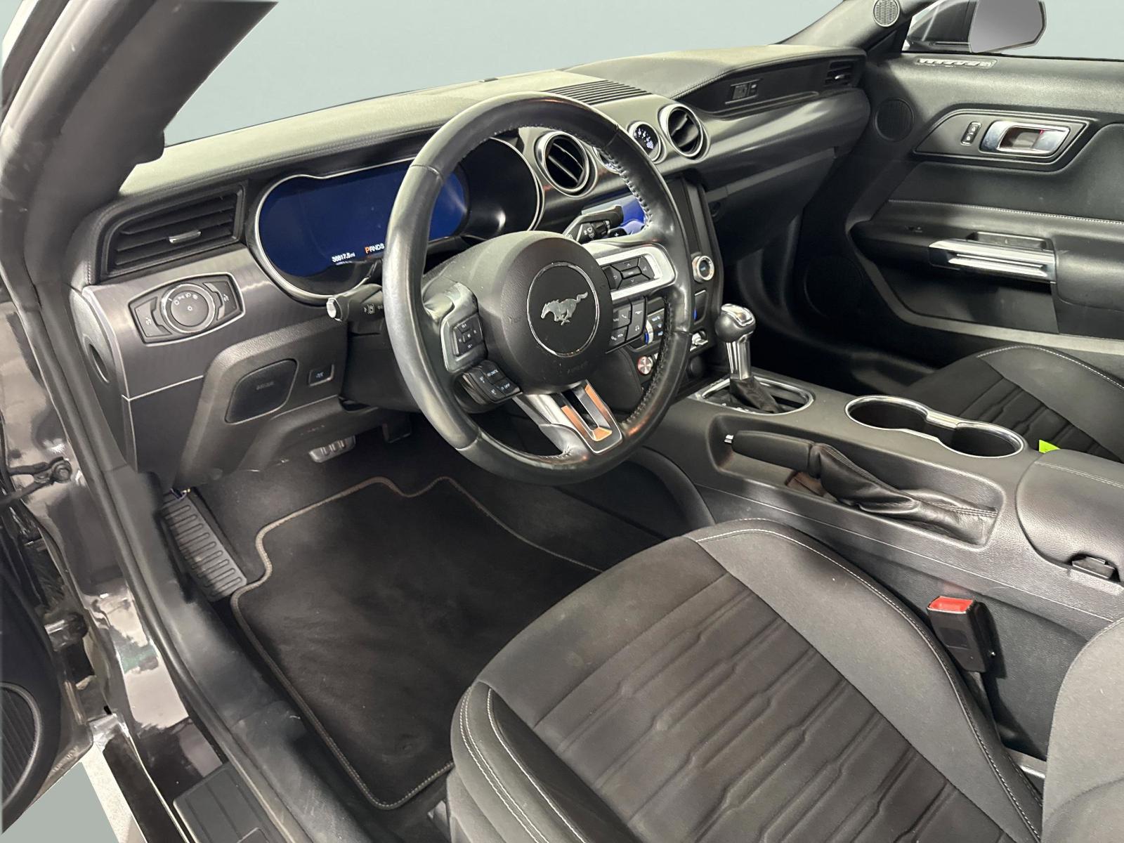 2022 Ford Mustang Vehicle Photo in Georgetown, TX 78626