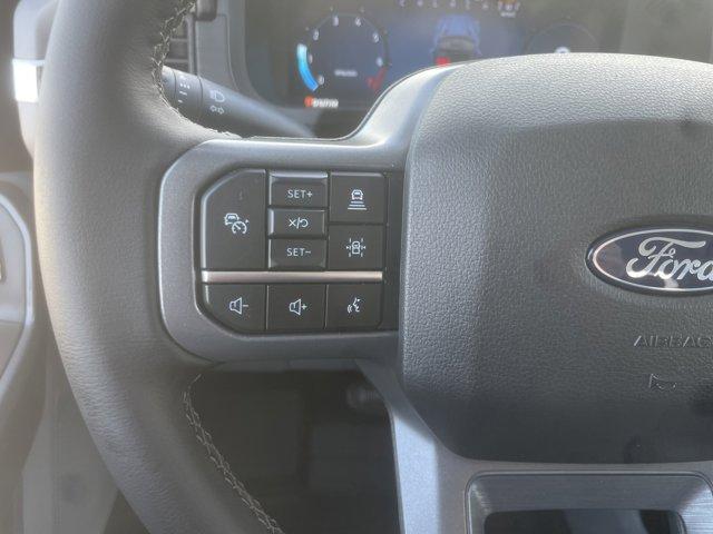 2024 Ford F-150 Vehicle Photo in Ogallala, NE 69153