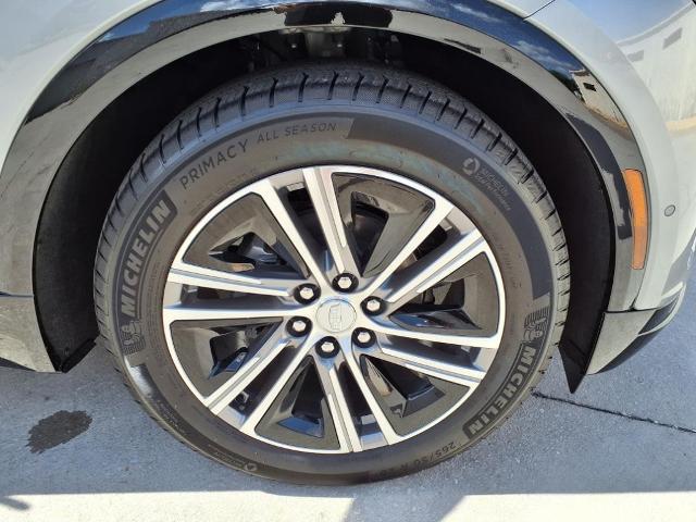 2025 Cadillac LYRIQ Vehicle Photo in TAMPA, FL 33612-3404