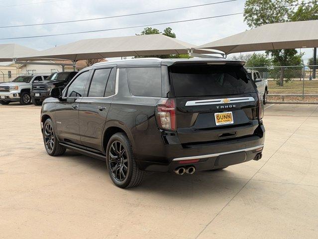 2023 Chevrolet Tahoe Vehicle Photo in SELMA, TX 78154-1460