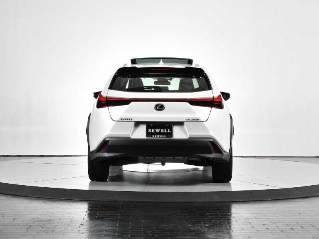 2024 Lexus UX 250h Vehicle Photo in DALLAS, TX 75235