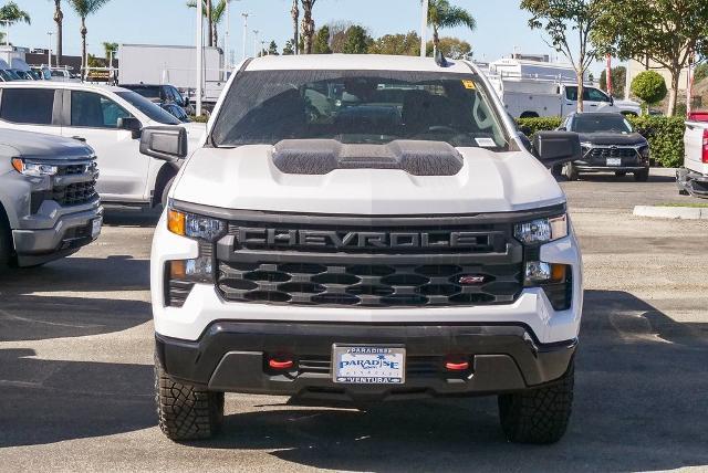 2025 Chevrolet Silverado 1500 Vehicle Photo in VENTURA, CA 93003-8585