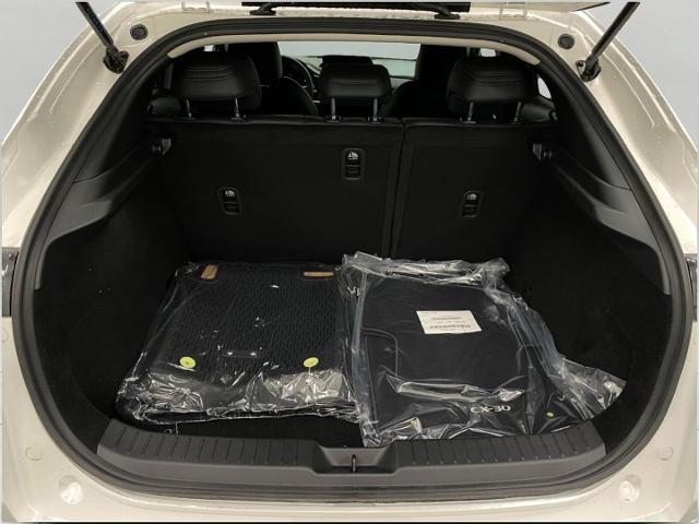 2025 Mazda CX-30 Vehicle Photo in Appleton, WI 54913