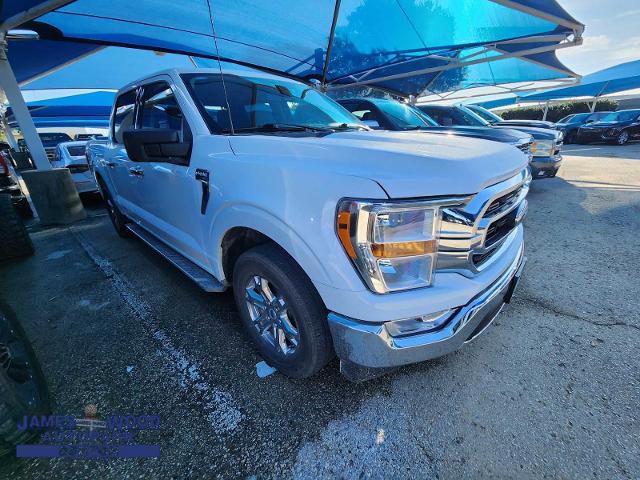 2023 Ford F-150 Vehicle Photo in DENTON, TX 76210-9321