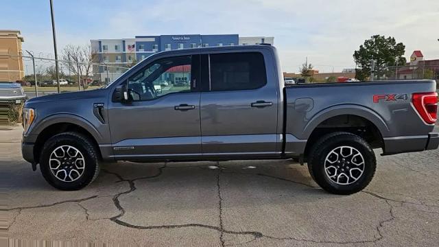 2023 Ford F-150 Vehicle Photo in San Angelo, TX 76901