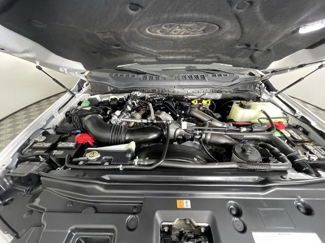 2019 Ford F-250 Vehicle Photo in GILBERT, AZ 85297-0402