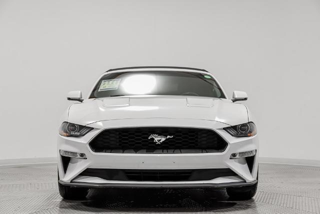 2018 Ford Mustang Vehicle Photo in Akron, OH 44312