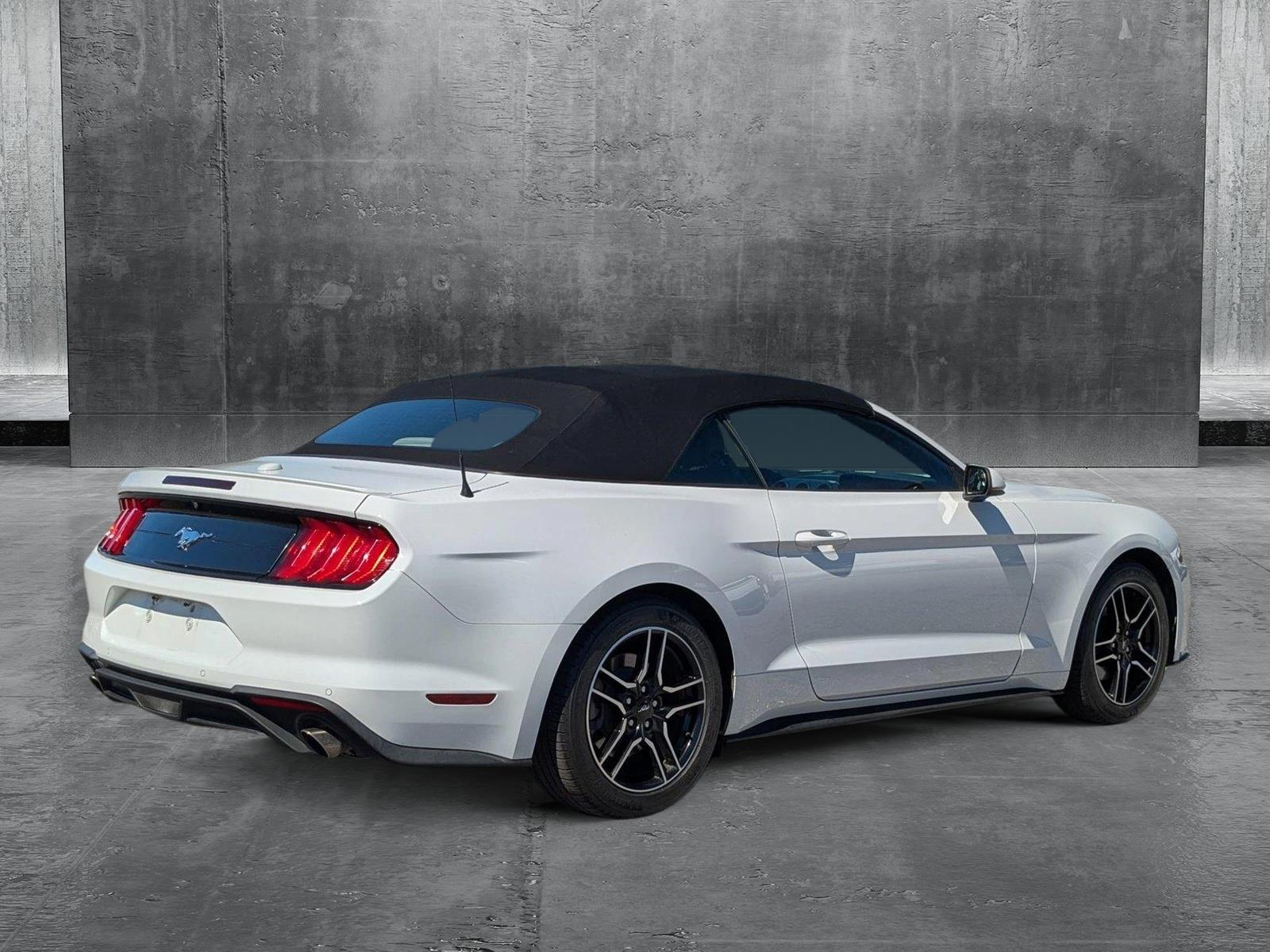 2019 Ford Mustang Vehicle Photo in St. Petersburg, FL 33713