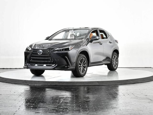 2024 Lexus NX 250 Vehicle Photo in DALLAS, TX 75235