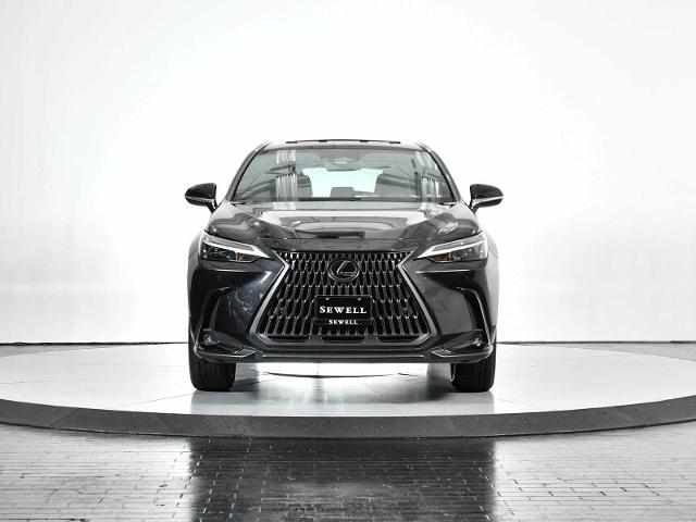 2022 Lexus NX 350 Vehicle Photo in DALLAS, TX 75235
