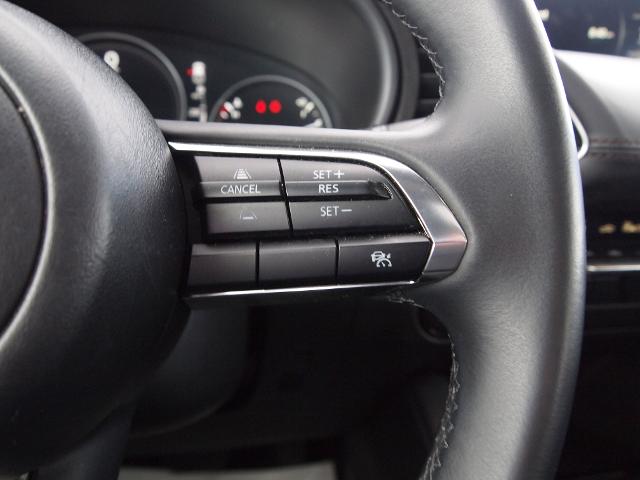 2024 Mazda Mazda3 Hatchback Vehicle Photo in MADISON, IN 47250-1611