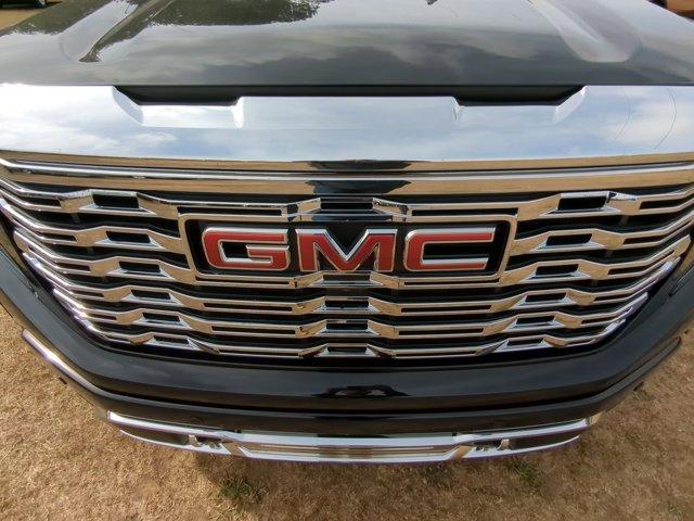 2025 GMC Sierra 1500 Vehicle Photo in ALBERTVILLE, AL 35950-0246