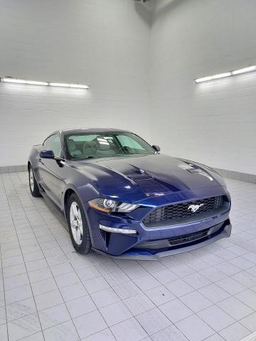 2018 Ford Mustang Vehicle Photo in OSHKOSH, WI 54904-7811