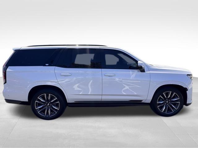 2022 Cadillac Escalade Vehicle Photo in DELRAY BEACH, FL 33483-3294