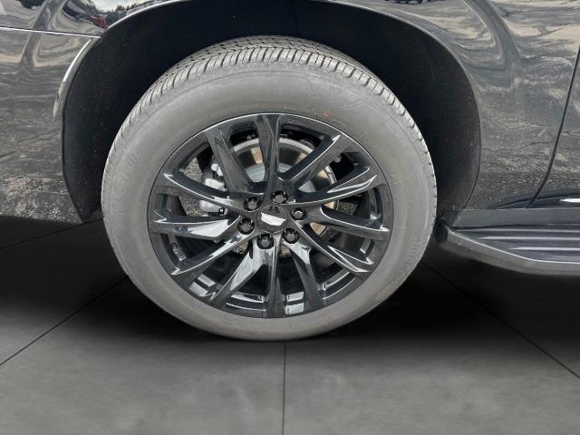 2024 Cadillac Escalade ESV Vehicle Photo in APPLETON, WI 54914-8833