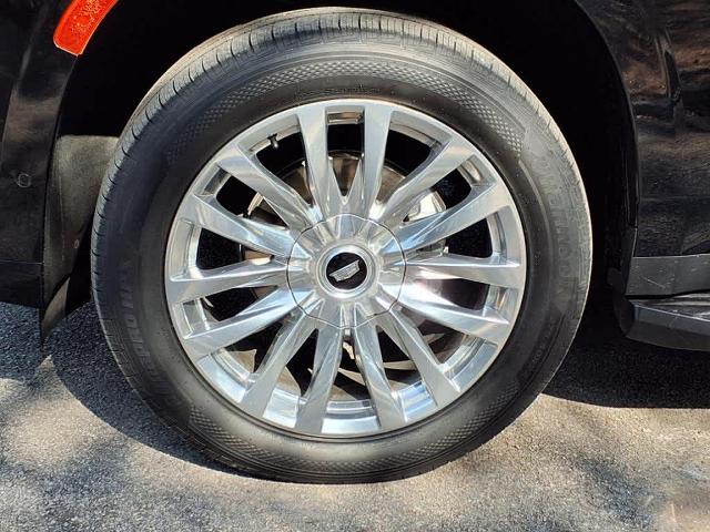 2022 Cadillac Escalade Vehicle Photo in San Antonio, TX 78230-1001