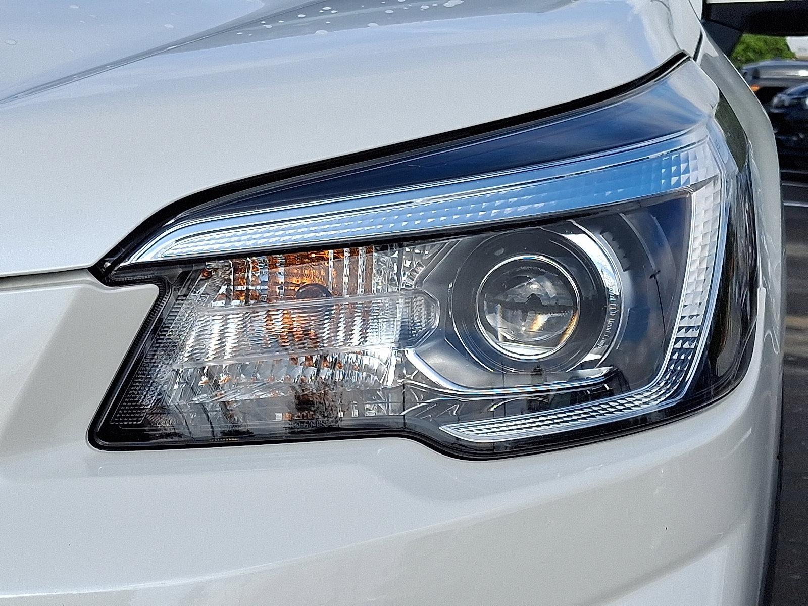 2019 Subaru Forester Vehicle Photo in Easton, PA 18045
