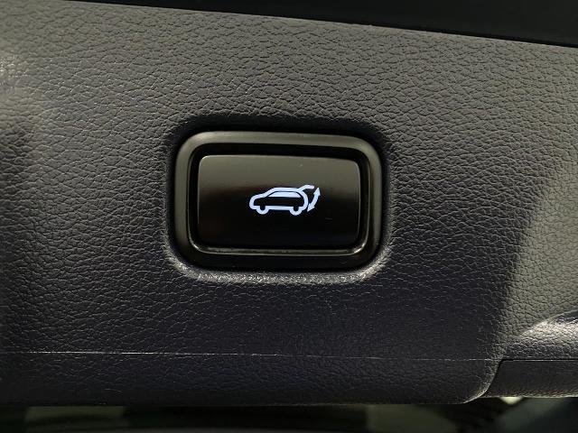 2024 Hyundai PALISADE Vehicle Photo in Appleton, WI 54913