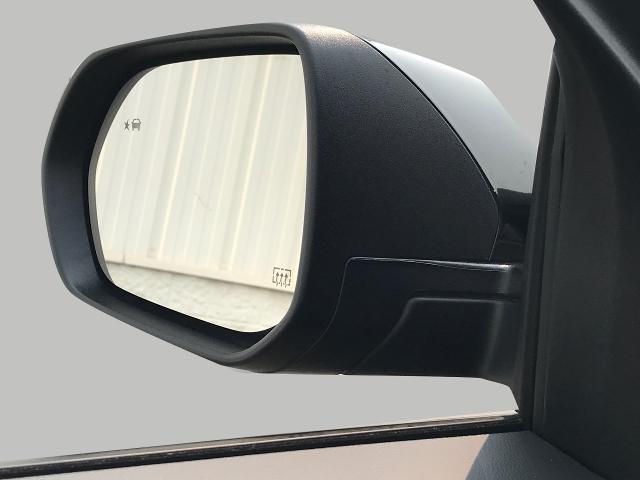 2025 Chevrolet Equinox Vehicle Photo in GREEN BAY, WI 54303-3330