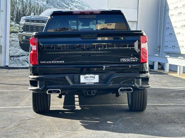 2024 Chevrolet Silverado 1500 Vehicle Photo in DALLAS, TX 75244-5909