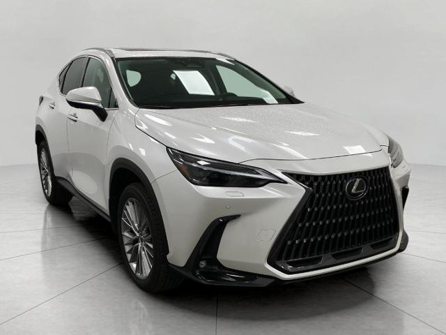 2024 Lexus NX 350 Vehicle Photo in Appleton, WI 54913