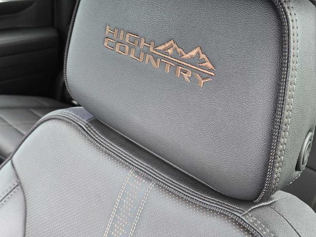 2024 Chevrolet Silverado 1500 Vehicle Photo in DENTON, TX 76210-9321
