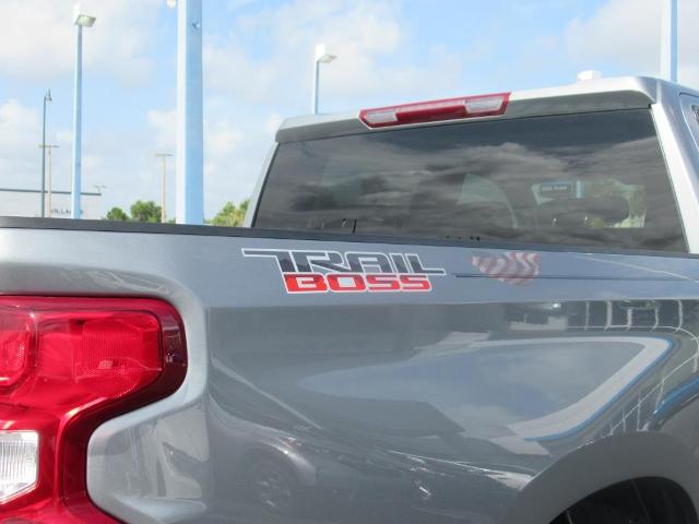 2024 Chevrolet Silverado 1500 Vehicle Photo in LEESBURG, FL 34788-4022