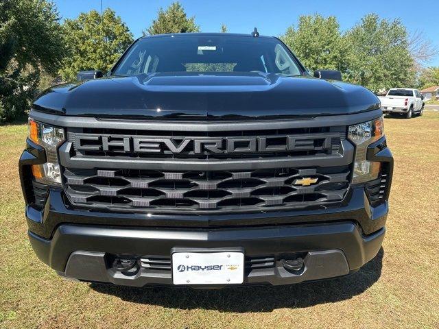 2025 Chevrolet Silverado 1500 Vehicle Photo in SAUK CITY, WI 53583-1301