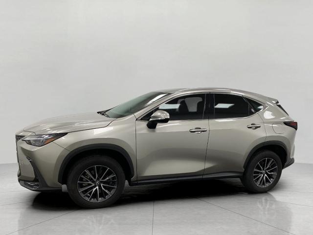 2024 Lexus NX 250 Vehicle Photo in Appleton, WI 54913