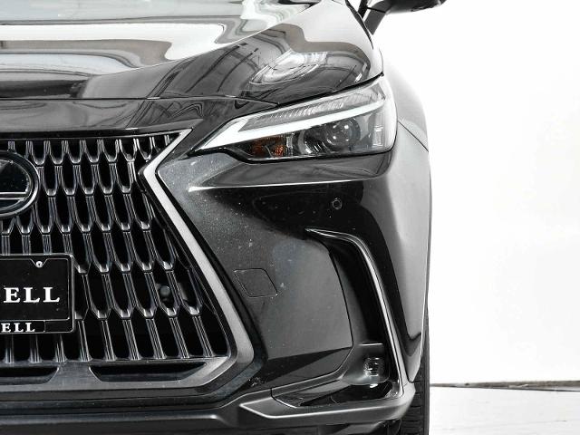 2024 Lexus NX 350 Vehicle Photo in DALLAS, TX 75235