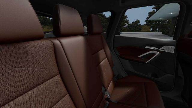 2025 BMW X1 xDrive28i Vehicle Photo in GRAPEVINE, TX 76051