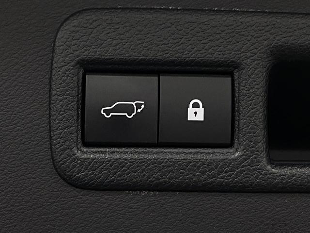 2020 Lexus NX 300 Vehicle Photo in Appleton, WI 54913