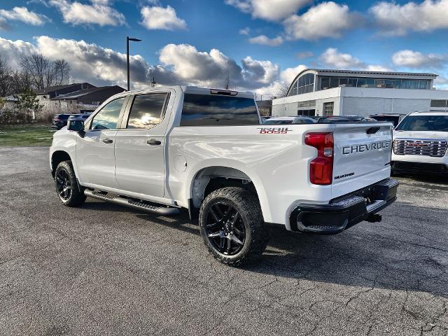 2022 Chevrolet Silverado 1500 LTD Vehicle Photo in WILLIAMSVILLE, NY 14221-2883