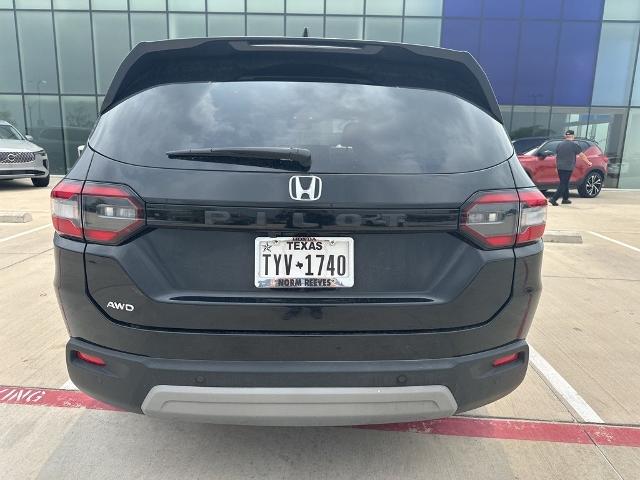 2024 Honda Pilot Vehicle Photo in San Antonio, TX 78230